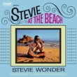 Stevie At The Beach WPbg