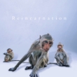 Reincarnation yTYPE Az(+DVD)