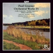 Violin Concerto, Cello Concerto, Flute Concerto: Schirmer / Munich Radio O Raudales Sinkevich C.dohn