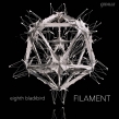 Filament:Eighth Blackbird Dessner(G)Muhly(Organ)