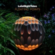 Late Night Tales: Floating Points (2g/180OdʔՃR[h)