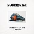 Endless Cultural Turnover (10inch)