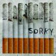 Sorry (Ash Grey Vinyl)(Lp)