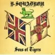 Sons Of Tigers