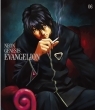 Sinseiki Evangelion Standard Edition Vol.6