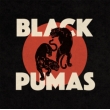 Black Pumas