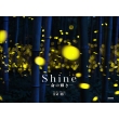 Shine ̋P