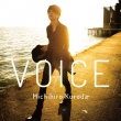 Voice/Nakimushi