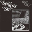 Spirit In The Sky