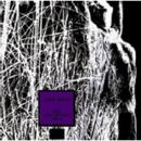 Lady Heavy Bottom's Waltz