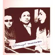 ���̓t���t��