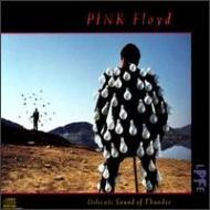 Delicate Sound Of Thunder: Live : Pink Floyd | HMVu0026BOOKS online - C2K44484