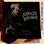 Junior Brown/12 Shades Of Brown