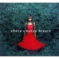 Shela/Baby's Breath (Cccd)