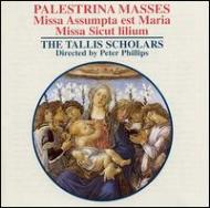 パレストリーナ（c.1525-1594）/Missa Assumpta Est Maria： Tallis Scholars