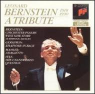 バーンスタイン、レナード（1918-1990）/Tribute To Leonard Bernstein