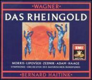 Das Rheingold: Haitink / Bavarianrso J.morris Lipovsek Zednik T.adam