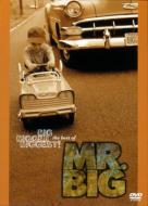 Big.Bigger.Biggest! The Best Of Mr.Big (Greatest Video Hits)