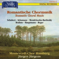 Monteverdi Choir/Romantic Choral Music Schuber