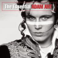 Adam Ant/Essential