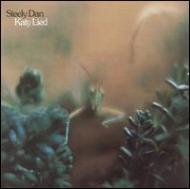 Katy Lied
