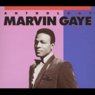 Anthology : Marvin Gaye | HMV&BOOKS online - POCT-1513/4