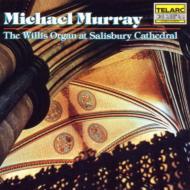 M.murray Salisbury Cathedral