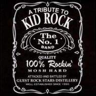 Various/Tribute To Kid Rock