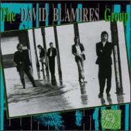 David Blamires Group