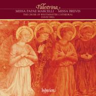 Missa Papae Marcelli, Missa Brevis : Hill / Westminster Cathedral Choir
