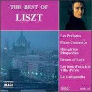 Best Of Liszt