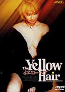 �C�G���[�w�A