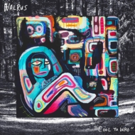 Walrus (Rock)/Cool To Who
