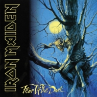 IRON MAIDEN /Fear Of The Dark (Remastered Edition)(Rmt)