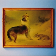 Explosions In The Sky レコード2枚セット レコード｜Explosions In The Sky (エクスプロージョンズ・イン