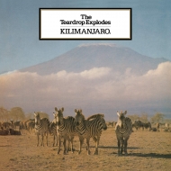 Kilimanjaro (180OdʔՃR[h)
