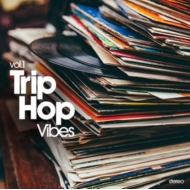Various/Trip Hop Vibes
