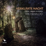 Trio Khaldei: Schoenberg: Verklarte Nacht, Brahms: Piano Trio, 2, Hummel: Trio, 2,