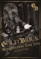 Akira Kajiyama{̃M^[y `̃C `Resurrection Tour 2019`yՁz