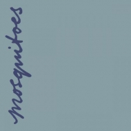 Vortex Veering Back To Venus