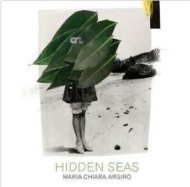 Hidden Seas