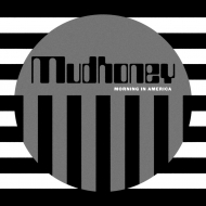 MUDHONEY マッドハニー　12インチ　レコード Mudhoney Suck you dry 12インチレコード マッドハニー - メルカリ