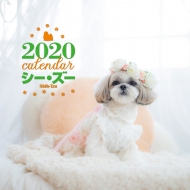 2020�N �唻�J�����_�[ �V�[�E�Y�[