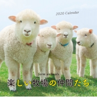 2020�N �唻�J�����_�[ �y�����q��̒��Ԃ���