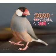 2020�N �~�j���J�����_�[ ����
