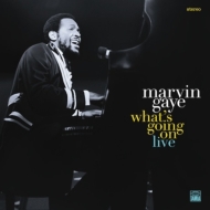 Marvin Gaye/What's Going On Live