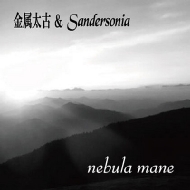 °  Sandersonia/Nebula Mane