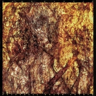 Universal Death Church