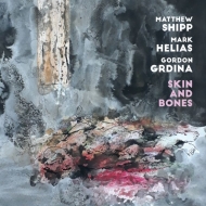 Matthew Shipp / Mark Helias / Gordon Grdina/Skin And Bones