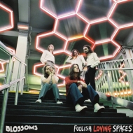 UKチャート#４を記録した昨年発表『Cool Like You』に続く3ｒｄアルバム、通常盤、1CD。  ■バイオグラフィー 2013年結成。イギリスのマンチェスター南部に位置するストックポート出身の